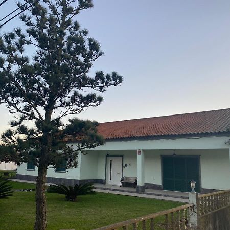Green Tropical House Ponta Delgada  Exterior photo